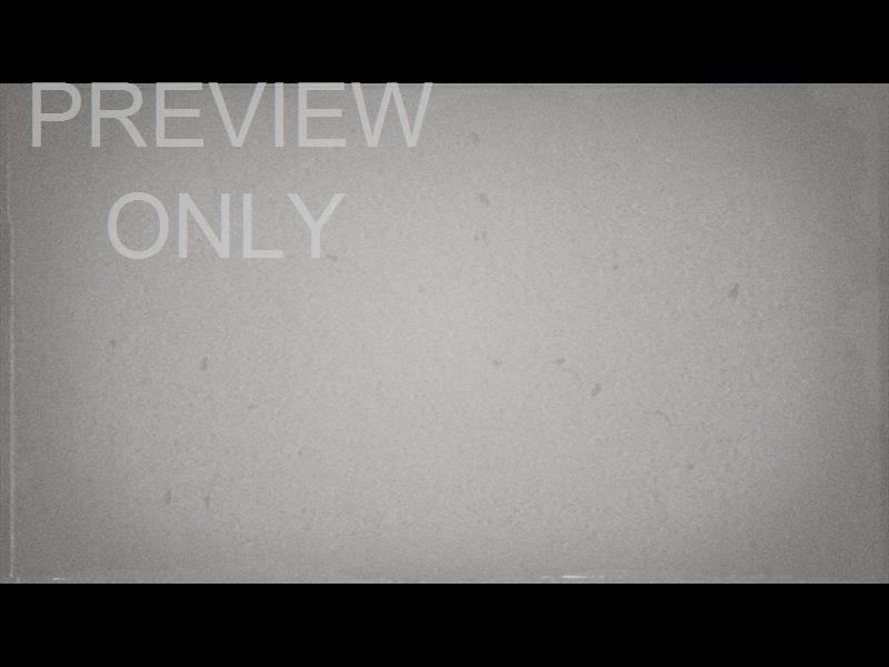 Thanksgiving Volume Four: Worship Background Still 03