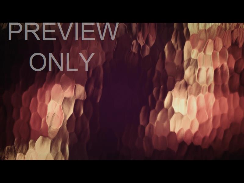 Lucent Orange Tunnel Still