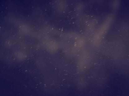 Observing Lent Motion 3