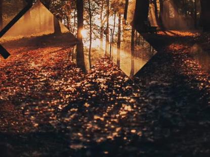 Rustic Autumn 10
