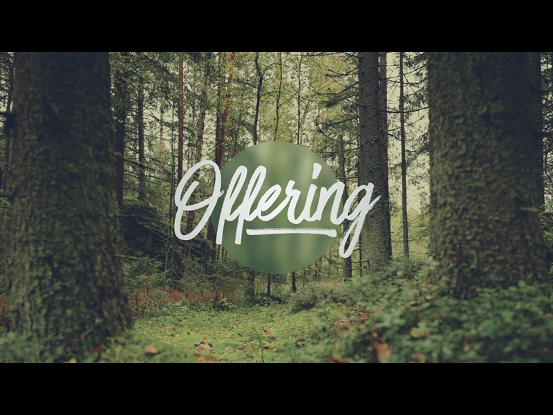 Deep Forest Offering