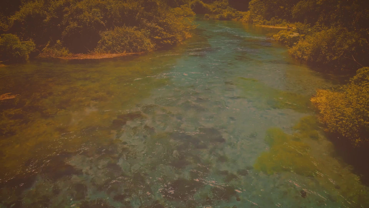 Blue Eye 10 Vintage Still