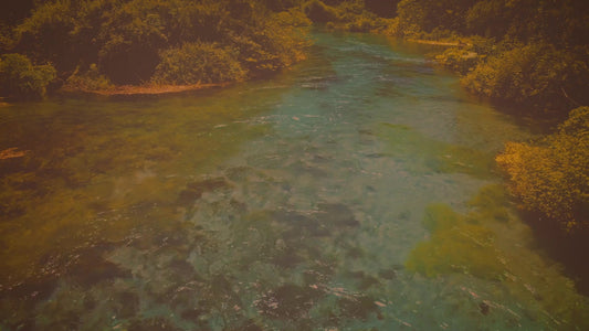Blue Eye 10 Vintage Still