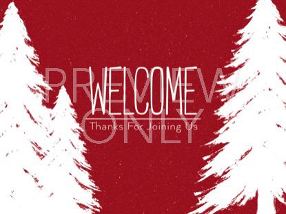 Winter Spruce Welcome Still