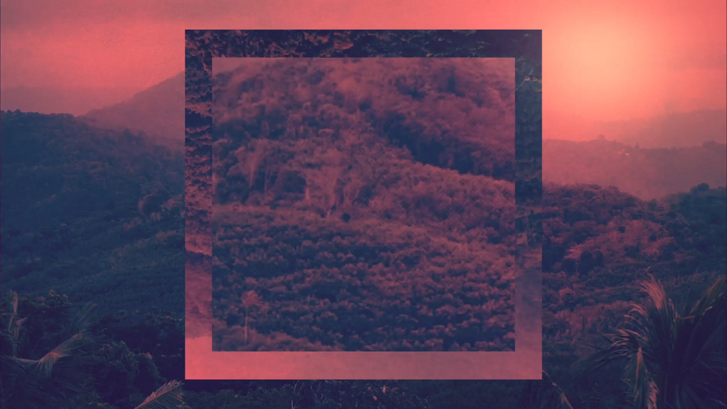 Creation Sings 5 Still