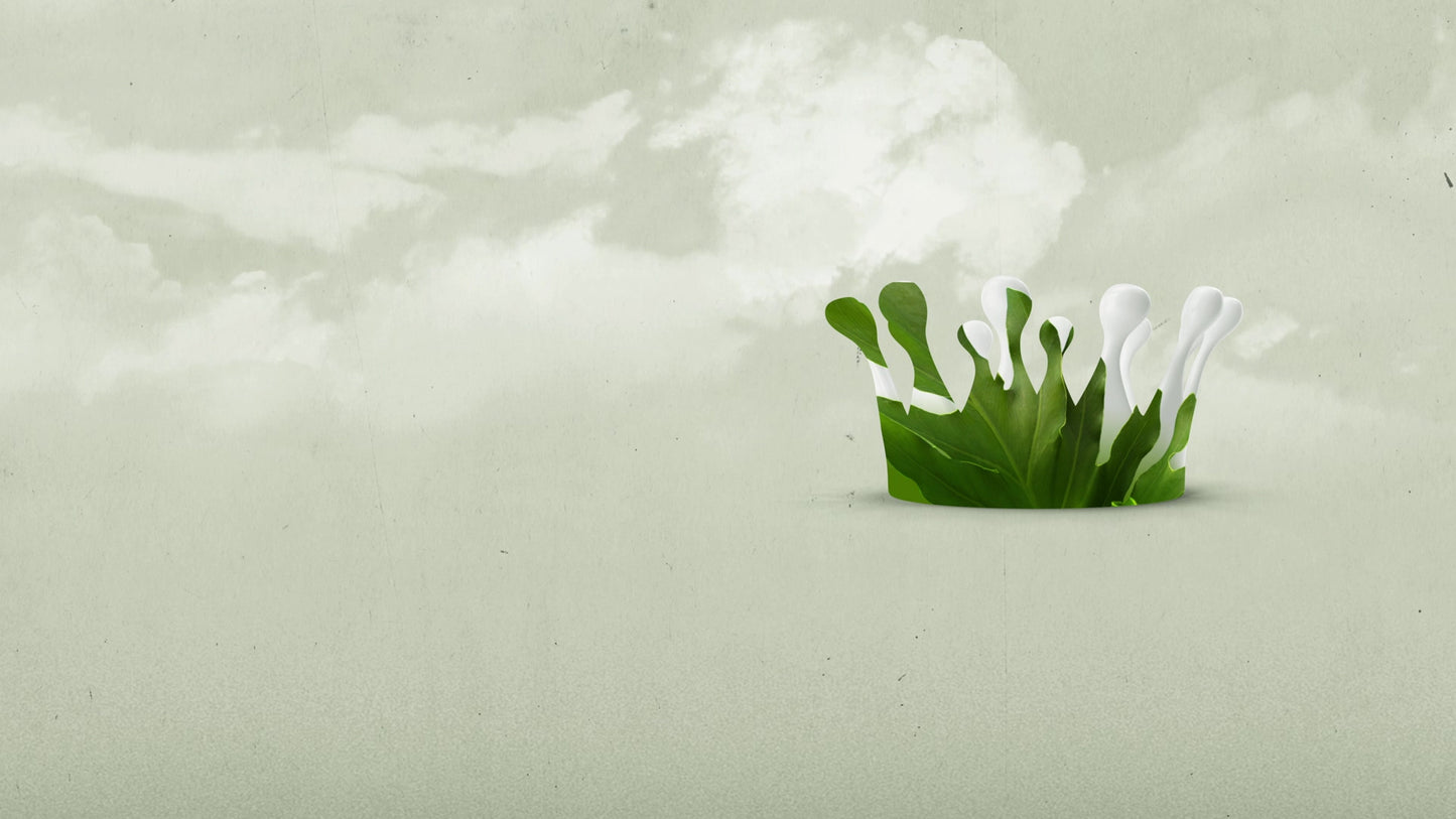 Crowned Palm Sunday Blank Still