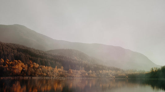 Deep Autumn Lakeside Still