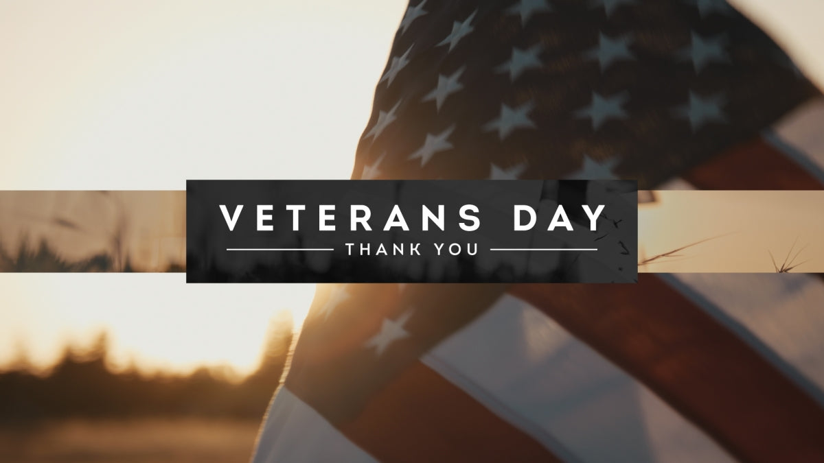 Veterans Day (We Thank You)