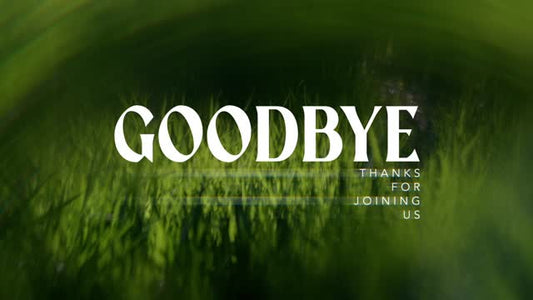 Like A Tree Goodbye