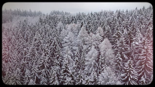 Retro Winter 07