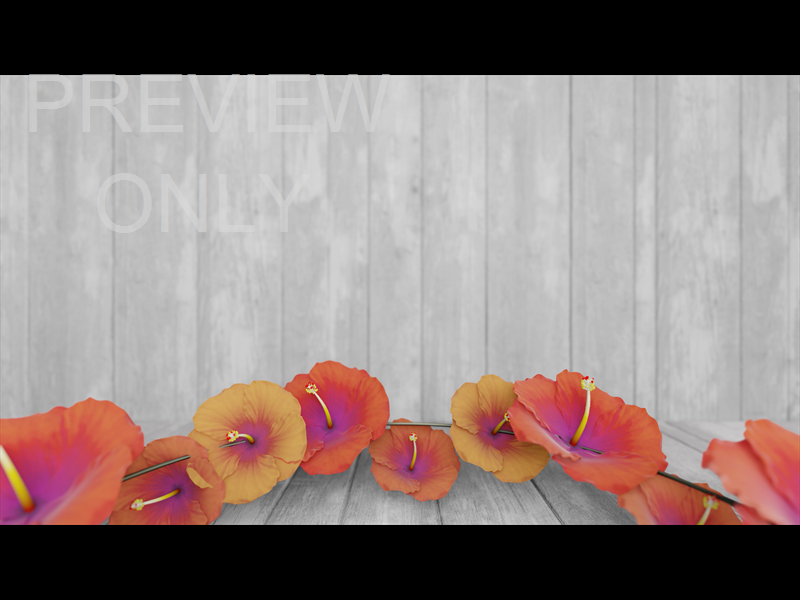 Summer Wreath Still 24