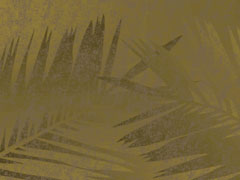 Palm Branches 1