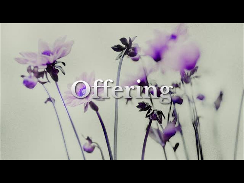 Floral Line Glow Offering