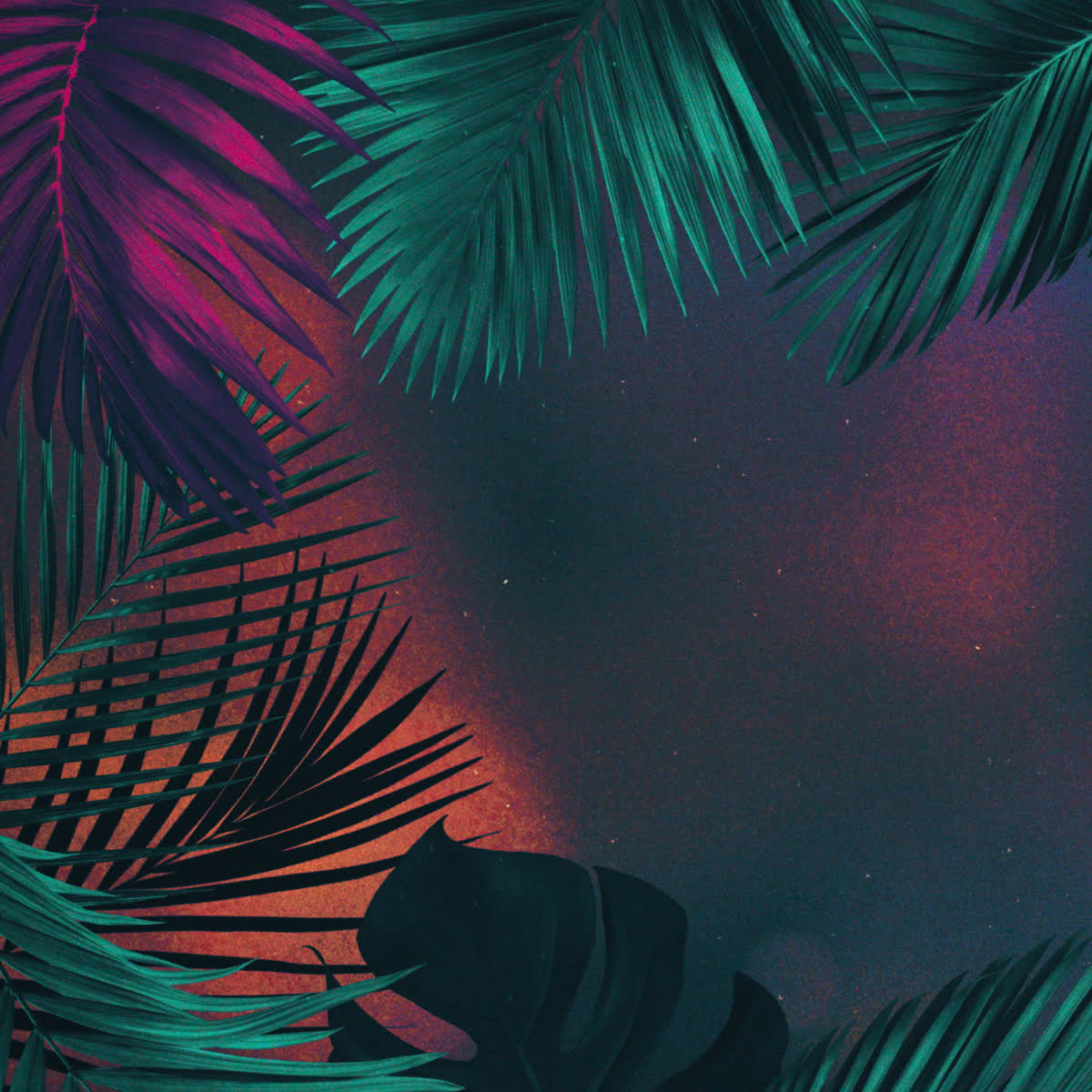 Vibrant Palms Giving Blank