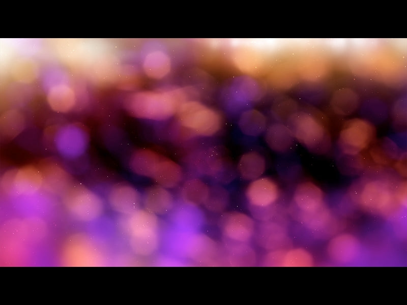 Christmas Light: 15