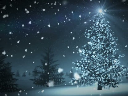Christmas Tree Snow Loop