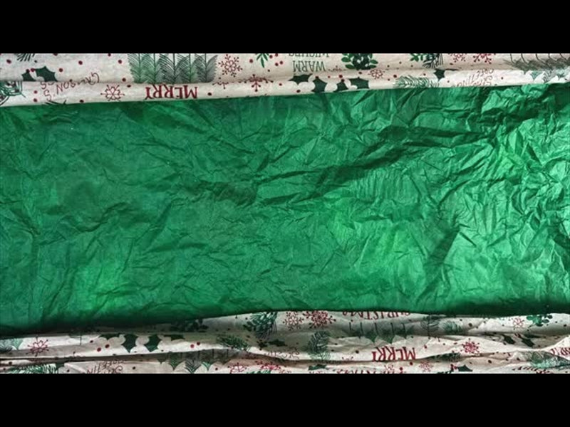 Christmas Stop Motion Dust 4