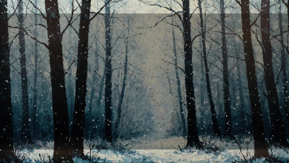 Snow Day 5 Alt
