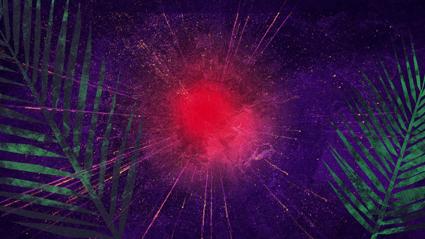 Vivid Palm Sunday 07 Still