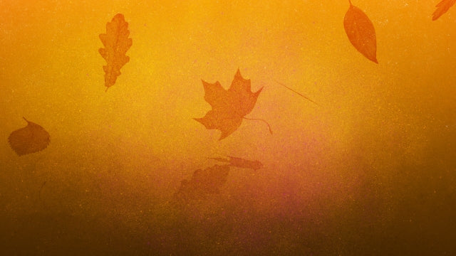 Painted Autumn 02