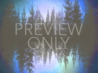 Natures Beauty 8 Still