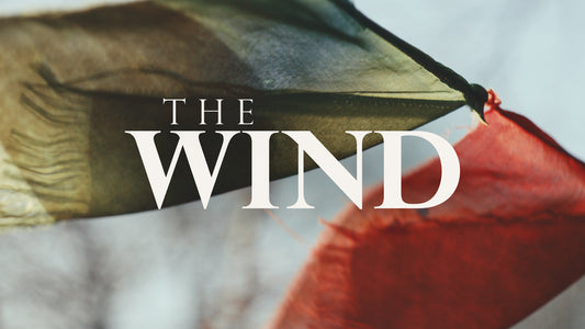 The Wind