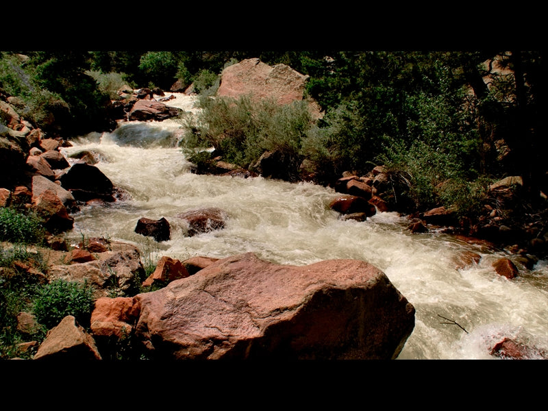 El Dorado Motion 15