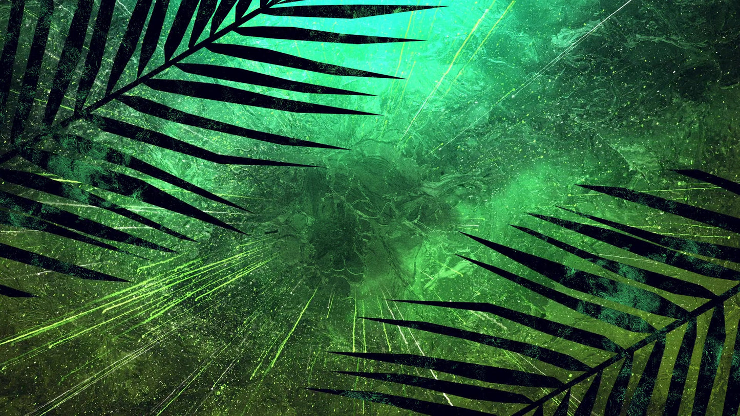 Vivid Palm Sunday 11