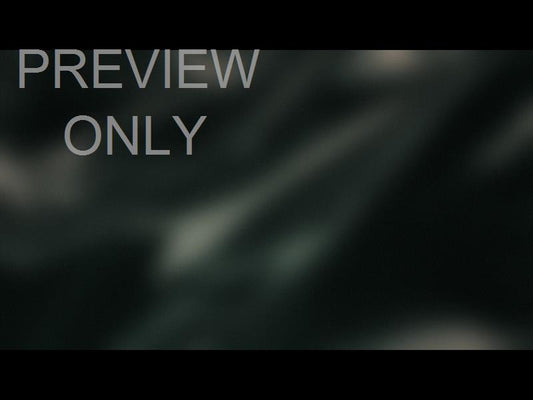 A Winters Eve Still 08