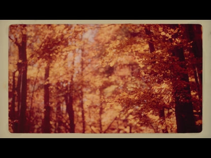Golden Light Retro