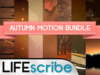 Autumn Motion Bundle