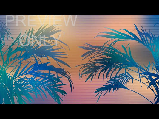 Sun Palms 14 Still