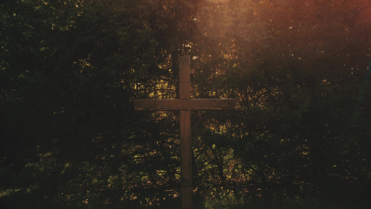 Cross 9 Still
