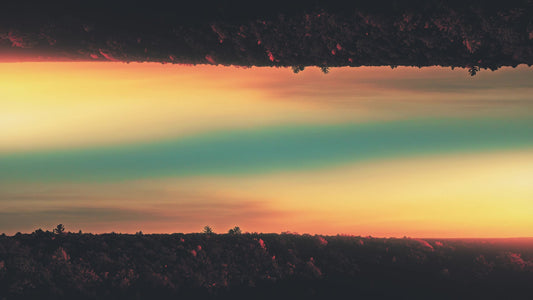 Fall Foliage Remixed 06 Motion