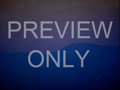 Brand New Day Still 8