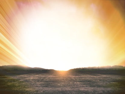 Risen 3 Motion
