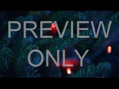 Christmas Pines Redlights