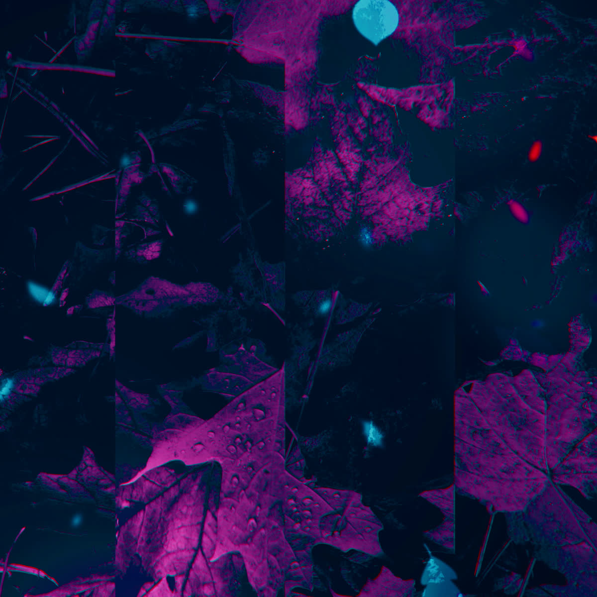 Autumn Memories Online Blank