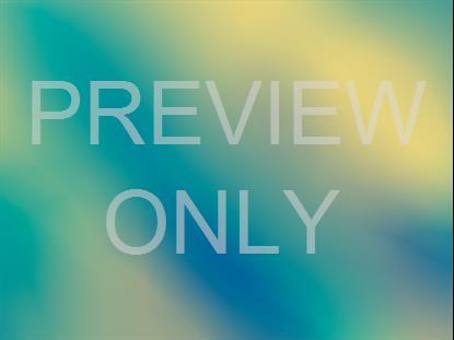 Neon Summer 15 Still