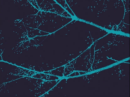 Snow Tones Center Far