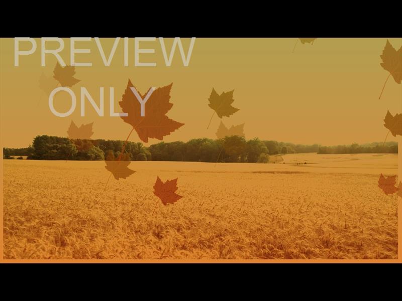 Harvest Background Still 7