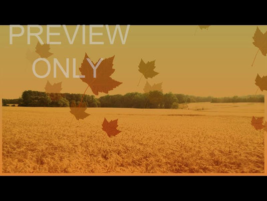Harvest Background Still 7