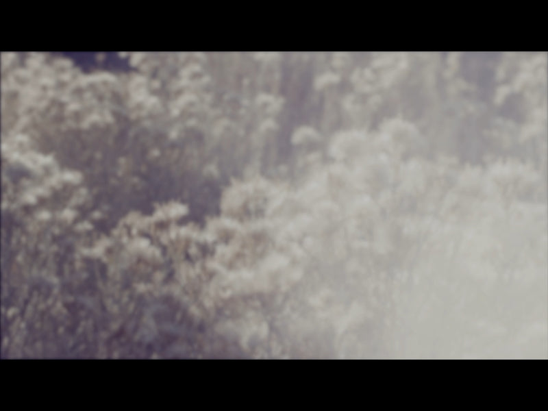 Sage Loop 08