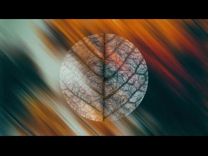 In The Fall 1