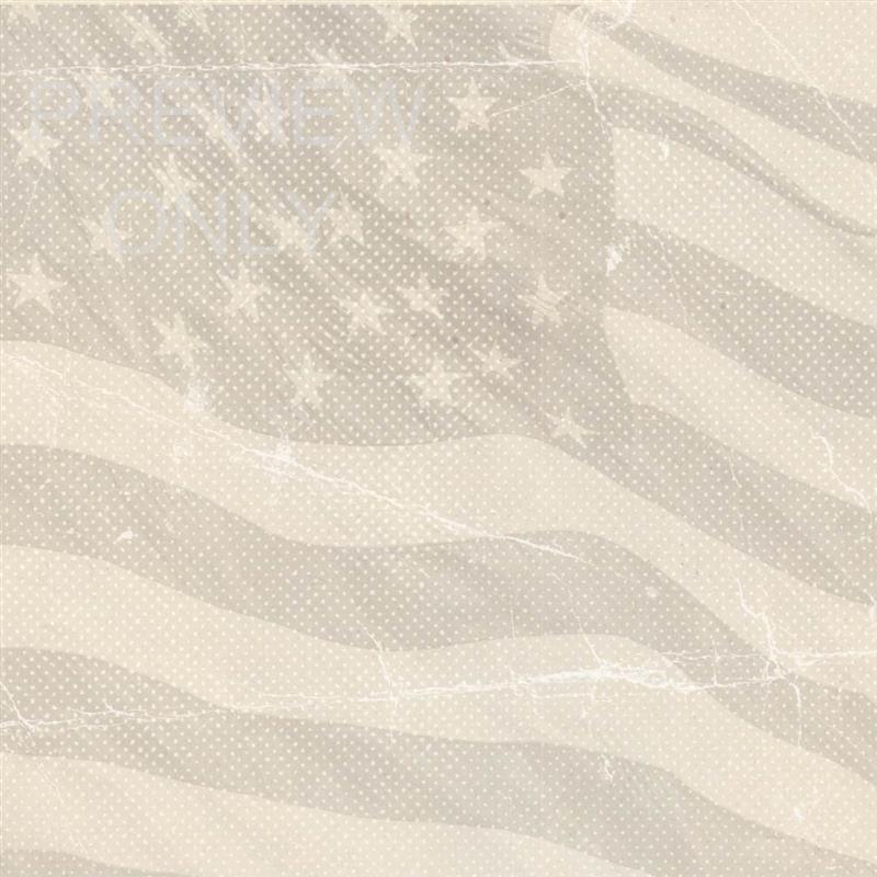 Life Liberty And Freedom Social Graphic Blank 03