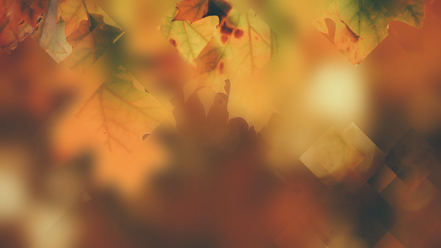 Autumn Journey 07 Still