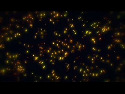 Fiber Optic Orange B