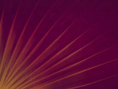 Radiant Palms Motion 2