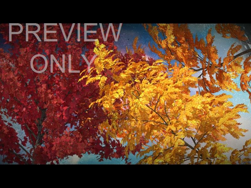 Seasonal Vibes: Fall Edition Still 3