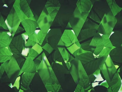 Spring Shift Green Full